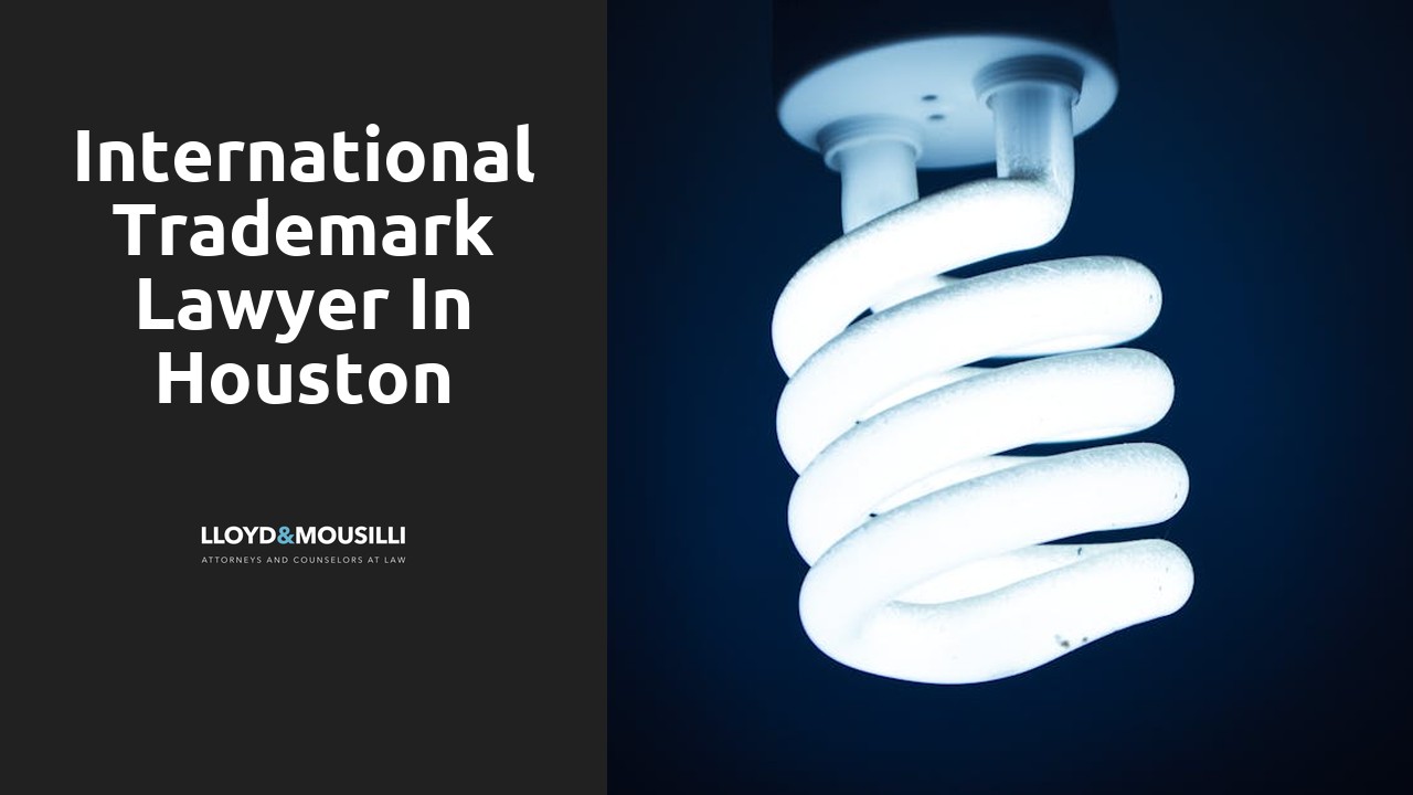 International Trademark Lawyer