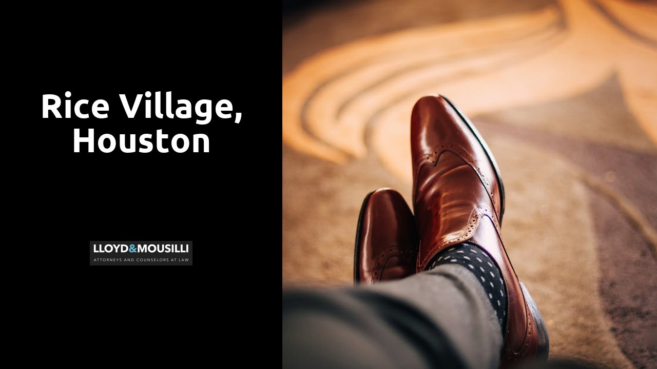 Rice Village, Houston