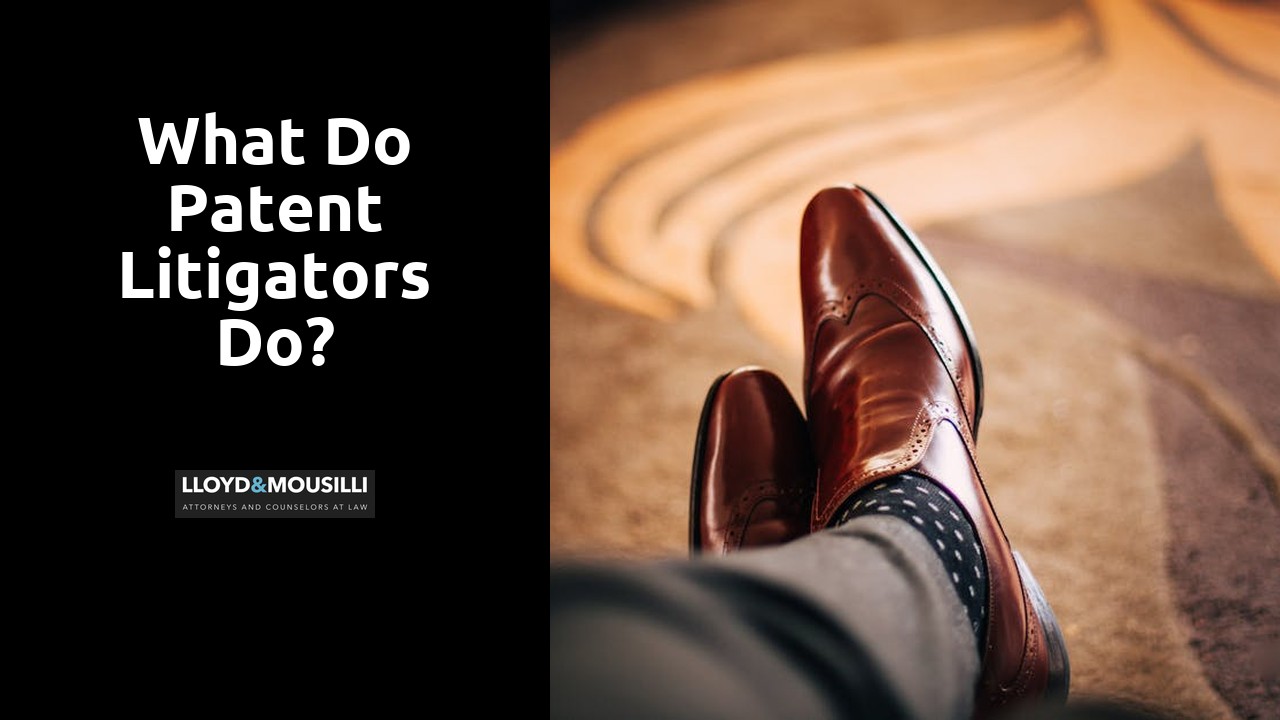 What do patent litigators do?