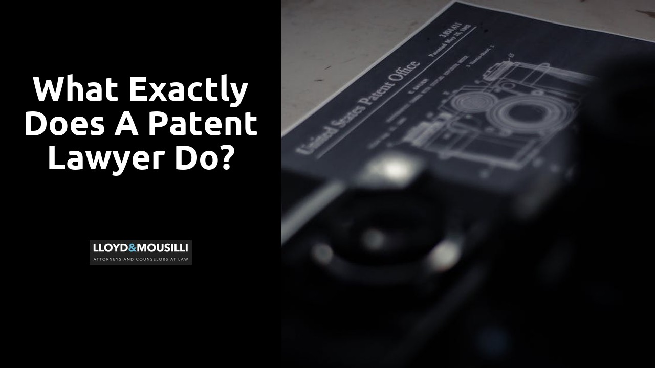 What exactly does a patent lawyer do?