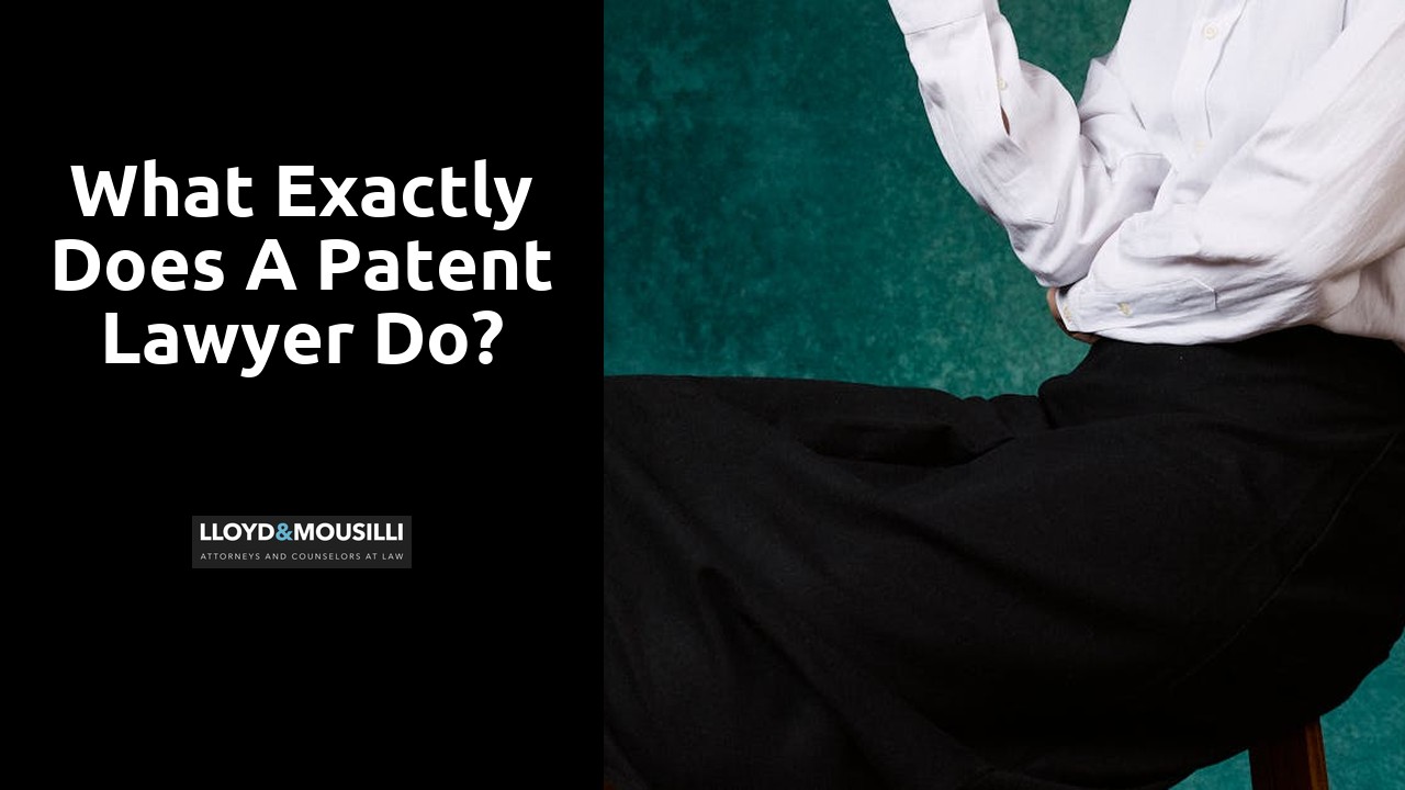 What exactly does a patent lawyer do?